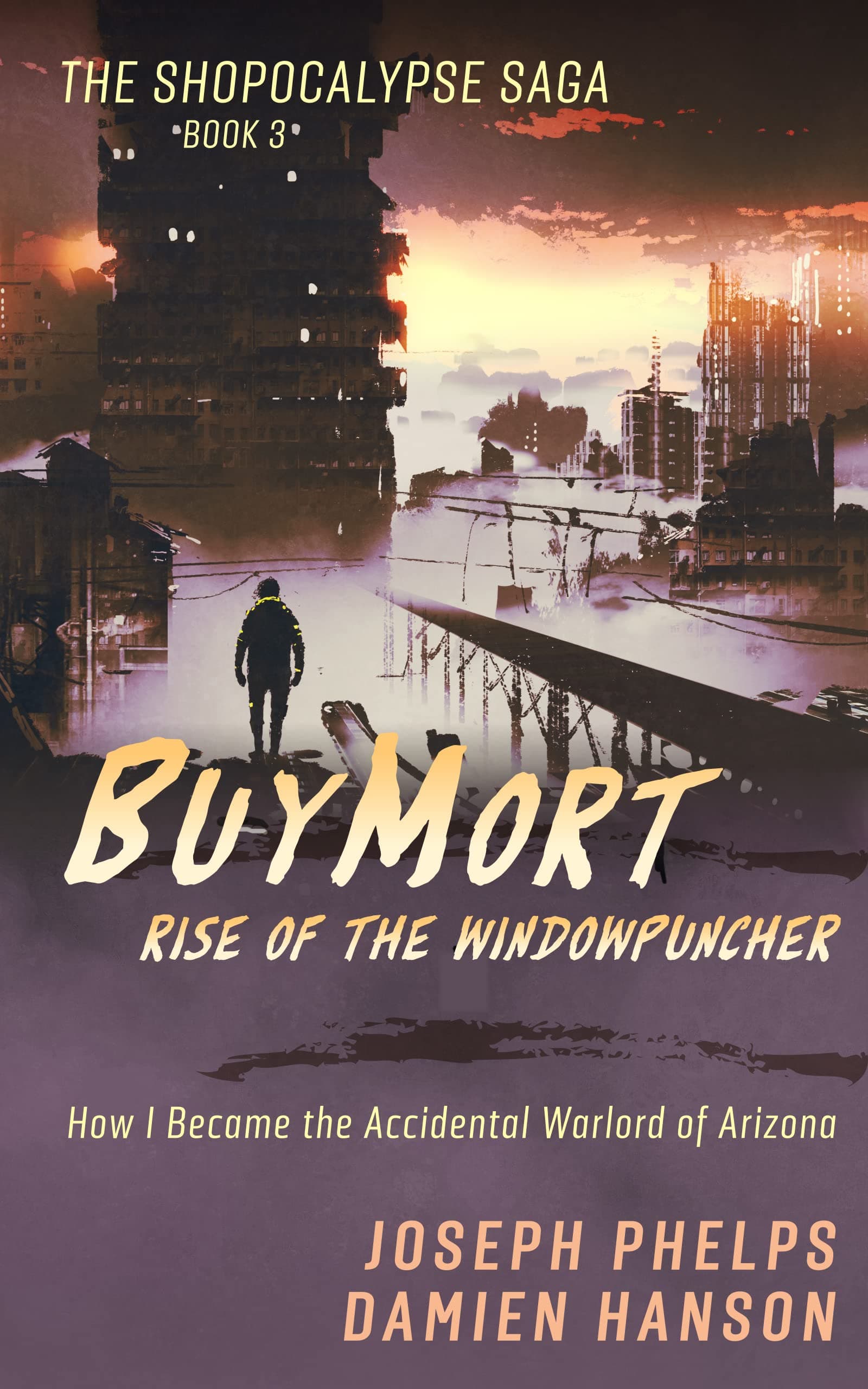 BuyMort: Rise of the Windowpuncher: How I Became the Accidental Warlord of Arizona cover